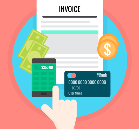 Invoice & Accounts Software